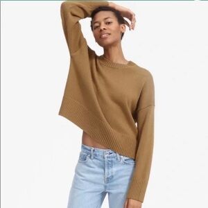 Everlane Boxy Cotton Crewneck Knit Sweater in Camel Tan Small